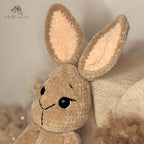 Hase "Judy“